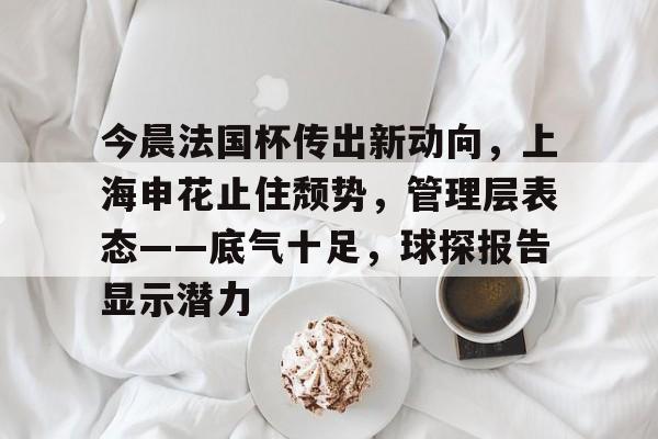 今晨法国杯传出新动向，上海申花止住颓势，管理层表态——底气十足，球探报告显示潜力
